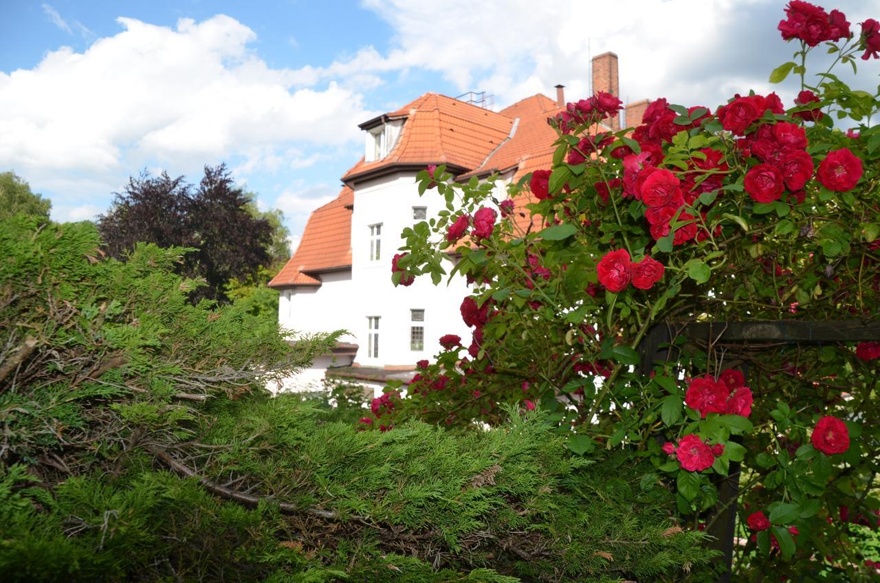Kurhaus Jonsdorf Hotell Exteriör bild